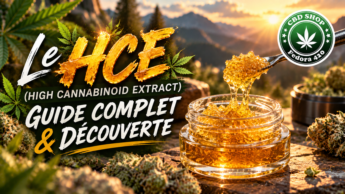 Le HCE (High Cannabinoid Extract) : Guide Complet & Découverte
