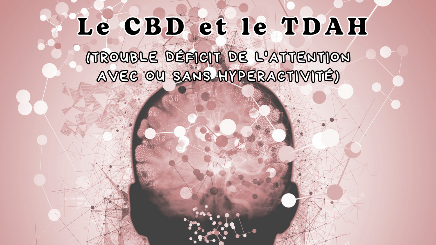Le CBD et le TDAH (Trouble déficit de l'attention avec ou sans hyperactivité)