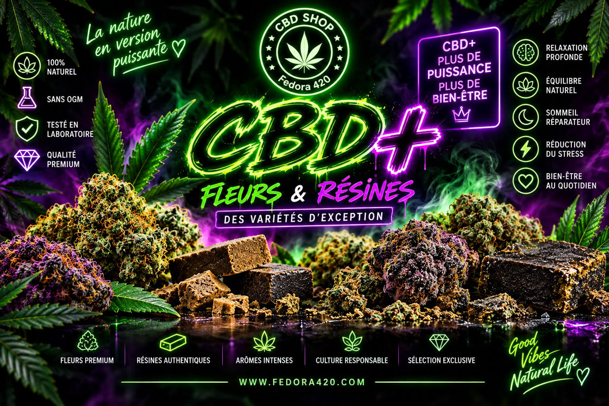 CBD+ : fleurs CBD haute qualité, résines CBD premium et collection de cannabidiol | Fedora 420