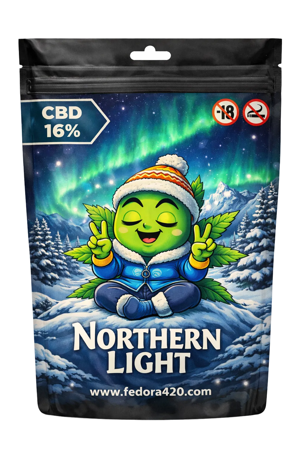 NORTHERN LIGHT