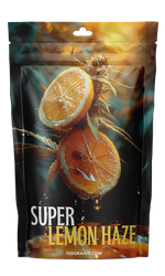Super Lemon Haze - Éclat Citronné de Champion
