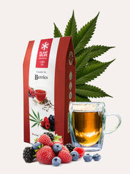 INFUSION CBD BERRIES