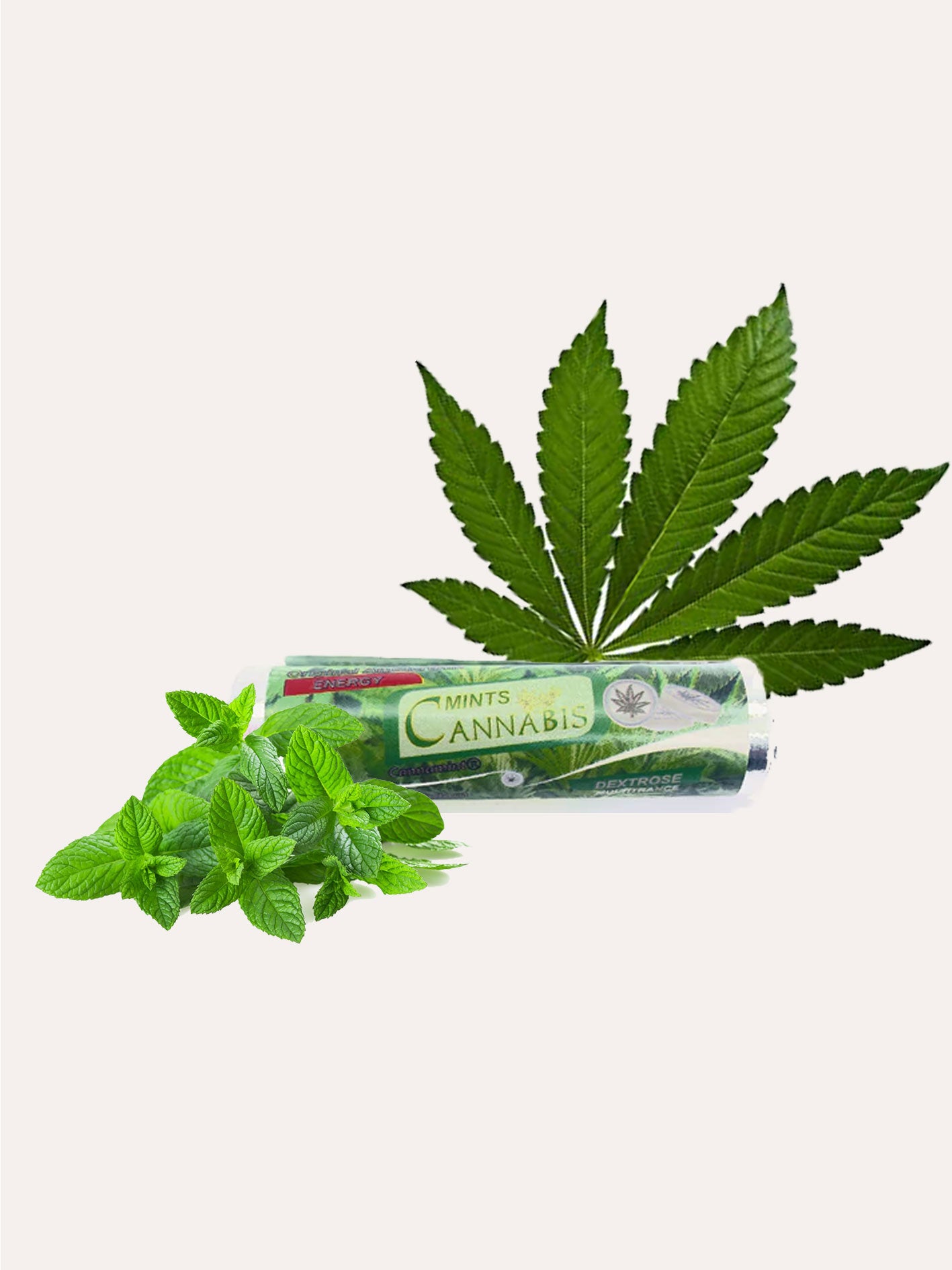 Pastille Menthe Cannabis - CBD