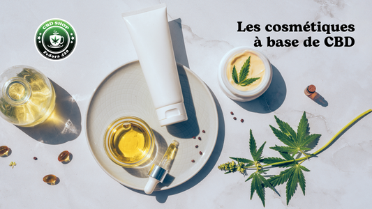 Découvrez tout ce qu'il faut savoir des cosmétiques au CBD, riches en cannabidiol et en chanvre et comment les utiliser