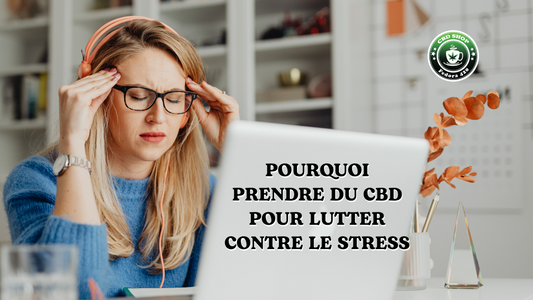 Pourquoi prendre du cbd pour lutter contre le stress ?