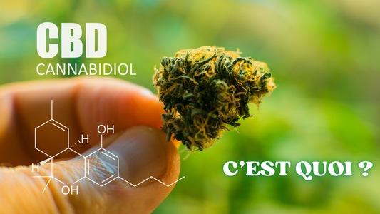 C'EST QUOI LE CBD ?