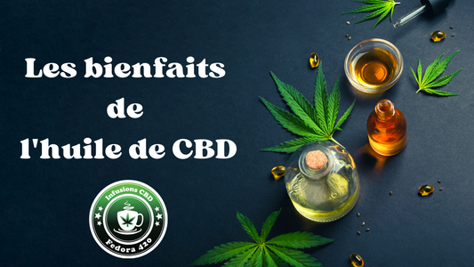 L'huile de CBD est probablement la plus facile à obtenir et peut-être la plus simple à utiliser. La marque et le type de produit déterminent le nombre de gouttes ou le dosage (par exemple, 2 ml) qu'il est recommandé de prendre par jour.