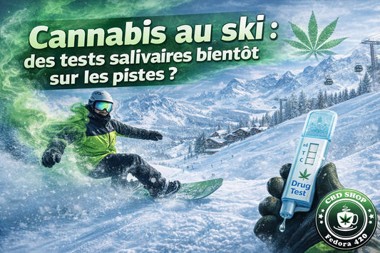 Cannabis au ski : la nouvelle chasse aux riders perchés ?