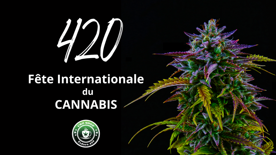 420 : Fête Internationale du Cannabis