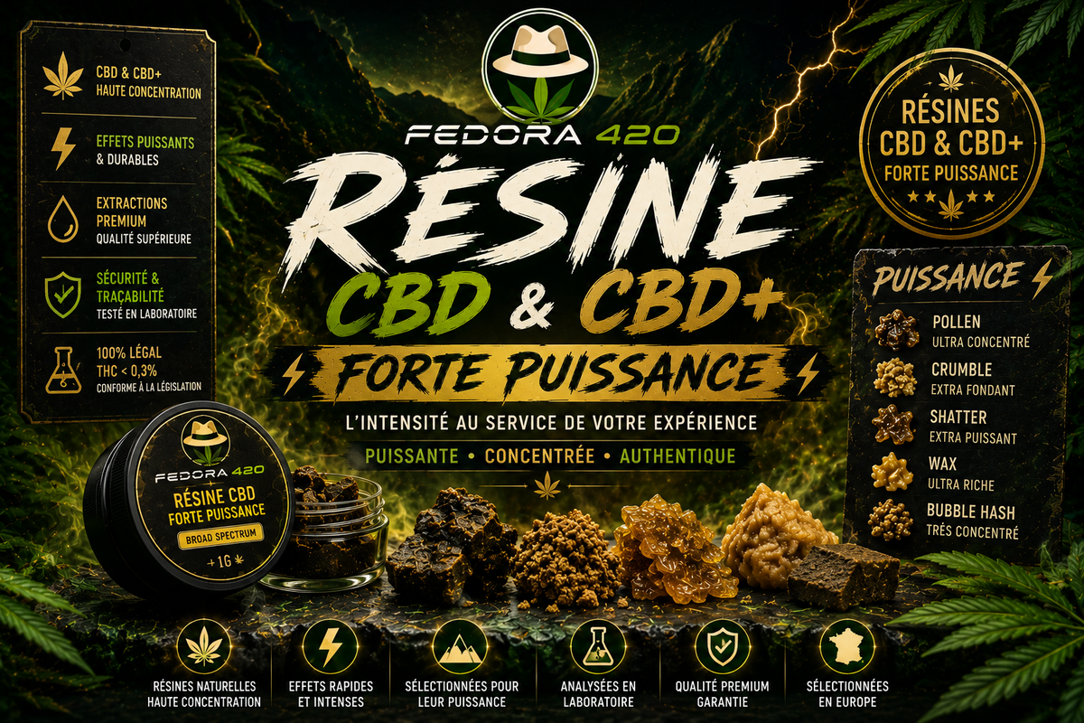 Collection Résines CBD Forte Puissance Fedora 420 avec résines CBD et CBD+ concentrées, pollen, crumble, shatter, wax et bubble hash