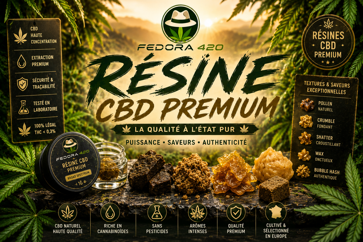 Collection Résines CBD Premium Fedora 420 avec pollen, crumble, shatter, wax et bubble hash CBD aux textures et arômes authentiques