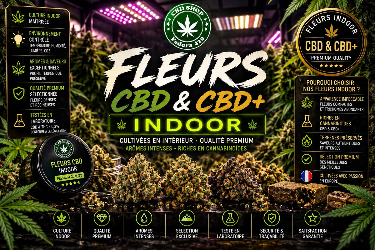 Collection Fleurs CBD Indoor Fedora 420 avec fleurs CBD et CBD+ cultivées en intérieur, riches en terpènes, cannabinoïdes et arômes premium