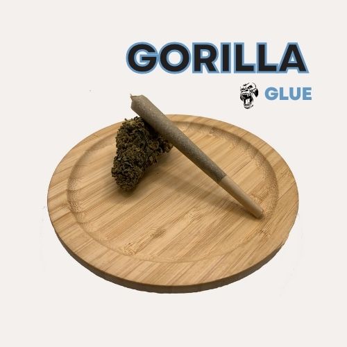 INFUSPLIFF - GORILLA GLUE