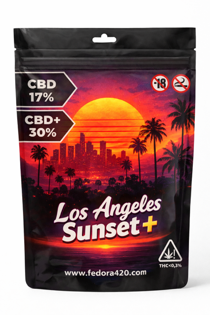 LOS ANGELES SUNSET +