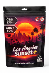 LOS ANGELES SUNSET +