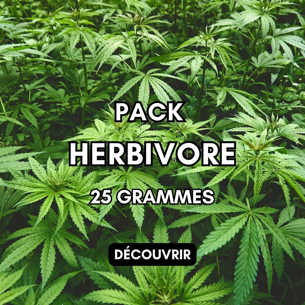 decouvrez notre pack herbivore - un mélange de plusieurs fleurs de cbd - exclusivement chez fedora 420