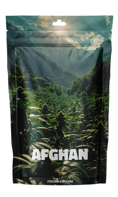 Afghan CBD+