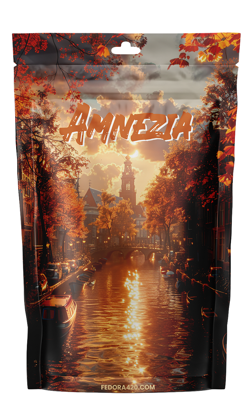 Amnesia - Retour aux Origines d'Amsterdam