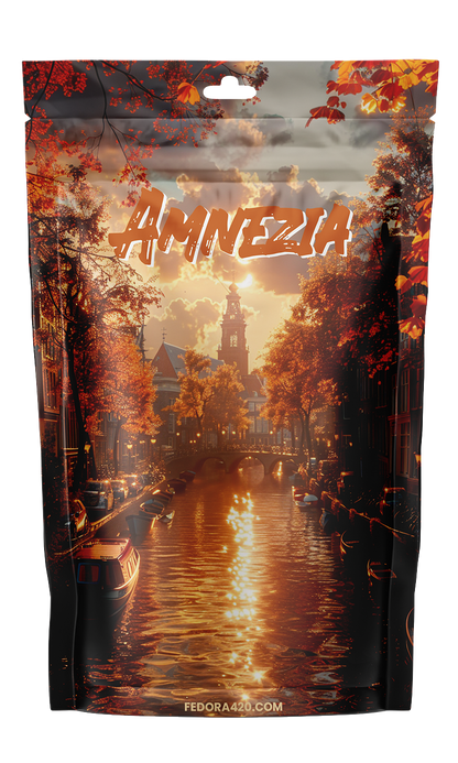 Amnesia - Retour aux Origines d'Amsterdam