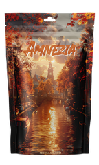 Amnesia - Retour aux Origines d'Amsterdam