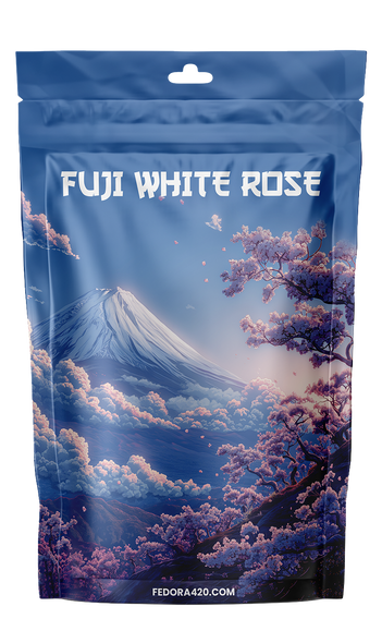 Fuji White Rose - Un Voyage Sensoriel au Cœur du Japon