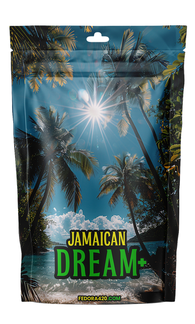 Jamaican Dream CBD+