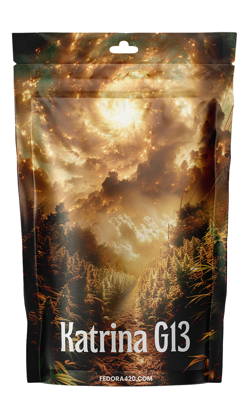 Katrina G13 - Secret d'État Devenu Icône de Bien-être