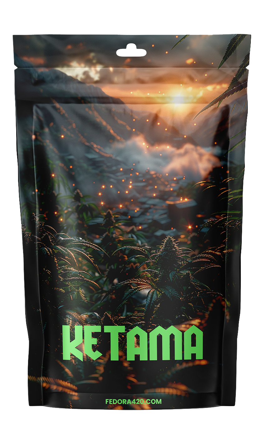 Ketama CBD+ - L'Héritage Renforcé