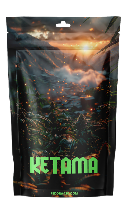 Ketama CBD+ - L'Héritage Renforcé