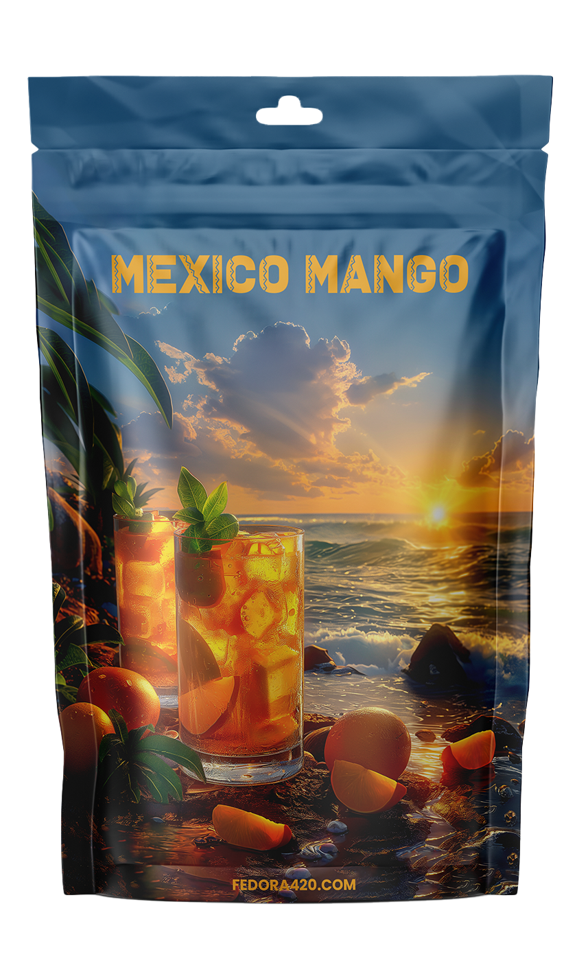 Mexico Mango - L'Évasion Tropicale