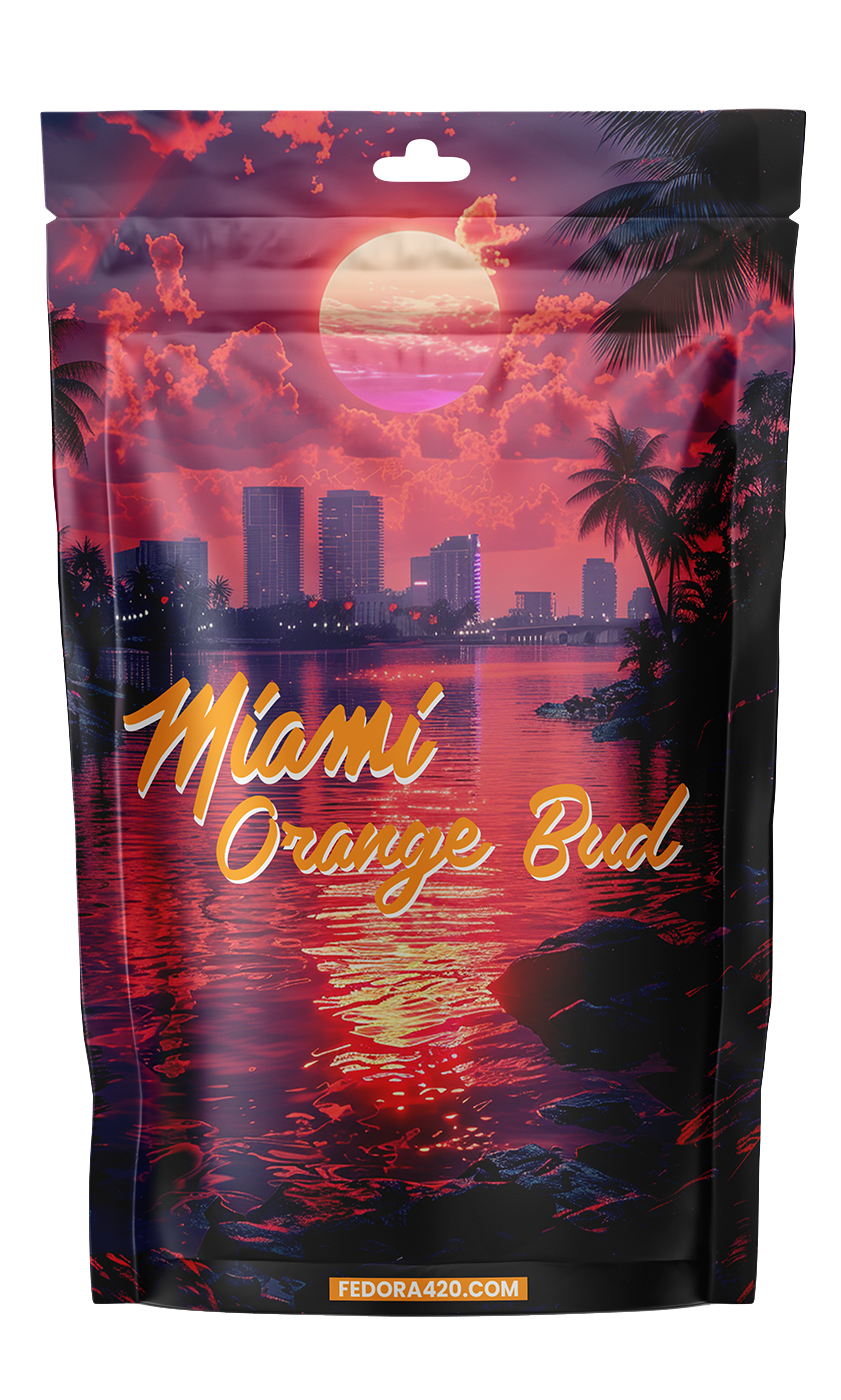 Miami Orange Bud - Éclat East Coast