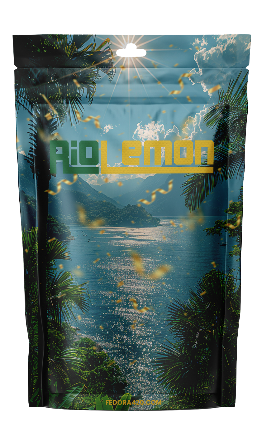 Rio Lemon - Votre Carnaval Sensoriel