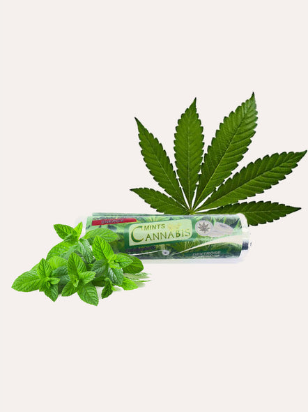 Cannabis - Pastille Menthe